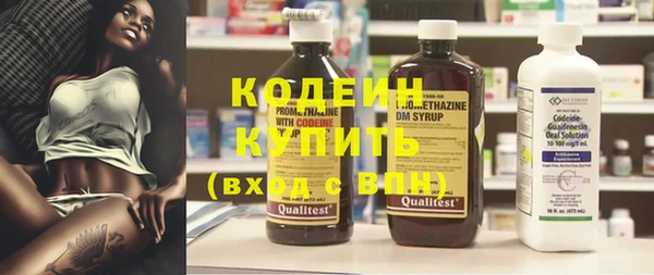 стаф Дмитров