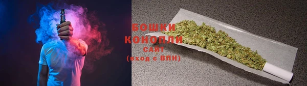 spice Богородицк
