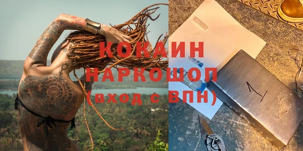 ГАЛЛЮЦИНОГЕННЫЕ ГРИБЫ Богданович