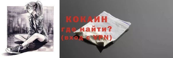 spice Богородицк