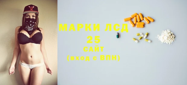 ГАЛЛЮЦИНОГЕННЫЕ ГРИБЫ Богданович