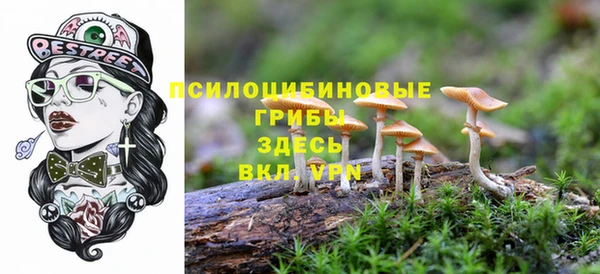 метадон Аркадак