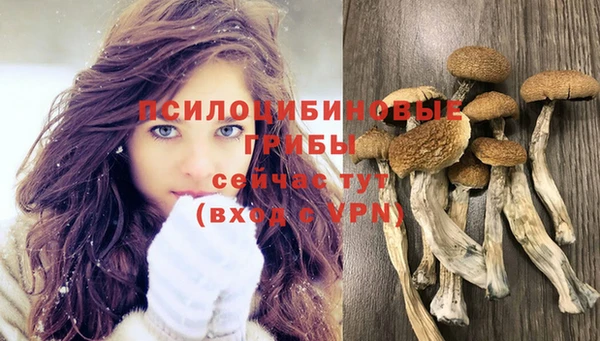 spice Богородицк