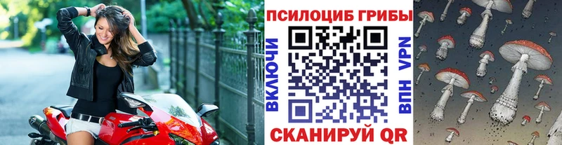 Псилоцибиновые грибы мицелий  купить наркотик  Спасск-Дальний 