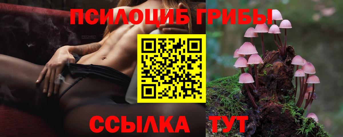 Спасск-Дальний  Галлюциногенные грибы прущие грибы  Вход с VPN 